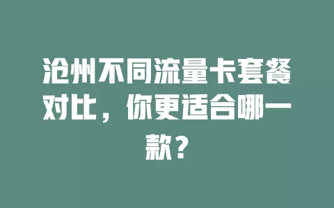 沧州不同流量卡套餐对比，你更适合哪一款？