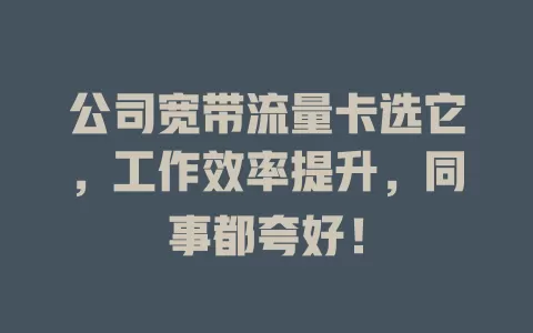 公司宽带流量卡选它，工作效率提升，同事都夸好！