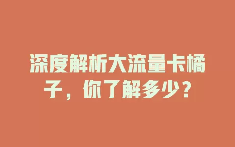 深度解析大流量卡橘子，你了解多少？