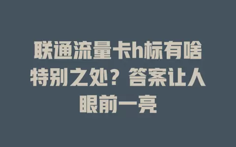 联通流量卡h标有啥特别之处？答案让人眼前一亮