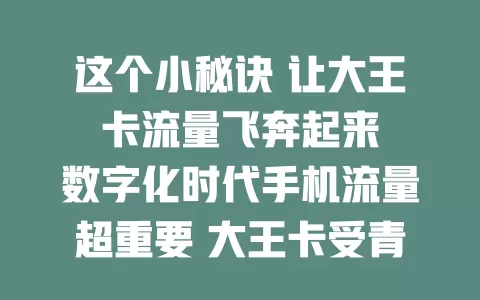 这个小秘诀 让大王卡流量飞奔起来

数字化时代手机流量超重要 大王卡受青睐 掌握流量规则 合理设网络 关后台应用 关注优惠活动 用这些秘诀 用大王卡畅快享网络便利