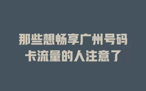 那些想畅享广州号码卡流量的人注意了