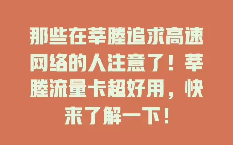 那些在莘塍追求高速网络的人注意了！莘塍流量卡超好用，快来了解一下！