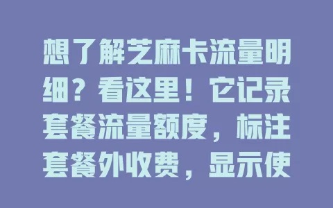 想了解芝麻卡流量明细？看这里！它记录套餐流量额度，标注套餐外收费，显示使用去向，助你掌握流量规律，合理管理流量，告别流量烦恼