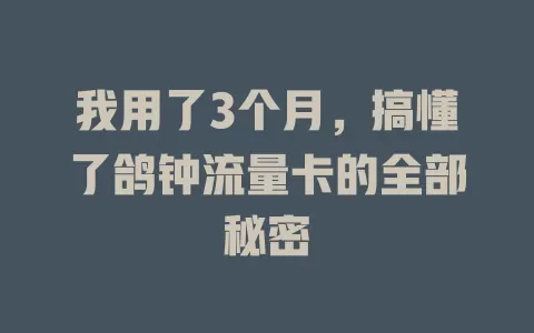 我用了3个月，搞懂了鸽钟流量卡的全部秘密