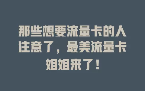 那些想要流量卡的人注意了，最美流量卡姐姐来了！