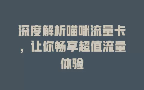 深度解析喵咪流量卡，让你畅享超值流量体验