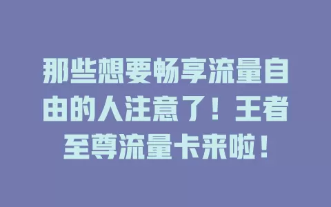 那些想要畅享流量自由的人注意了！王者至尊流量卡来啦！