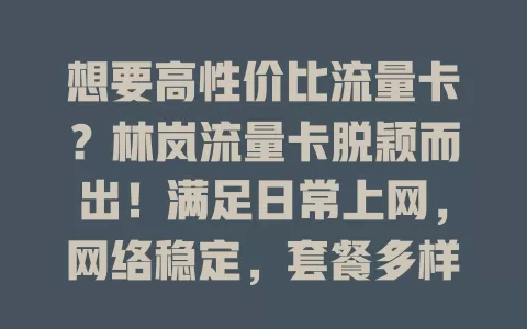 想要高性价比流量卡？林岚流量卡脱颖而出！满足日常上网，网络稳定，套餐多样，物超所值，无需担忧高额费用
