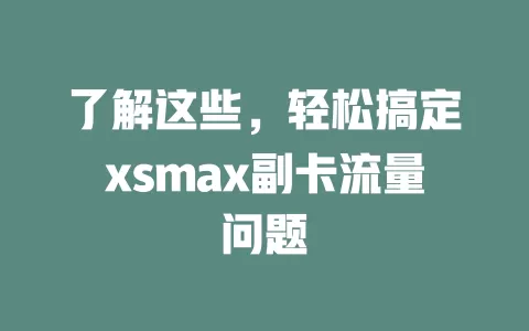 了解这些，轻松搞定xsmax副卡流量问题