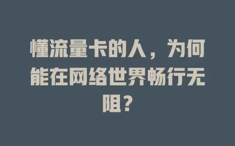 懂流量卡的人，为何能在网络世界畅行无阻？