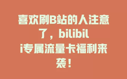 喜欢刷B站的人注意了，bilibili专属流量卡福利来袭！