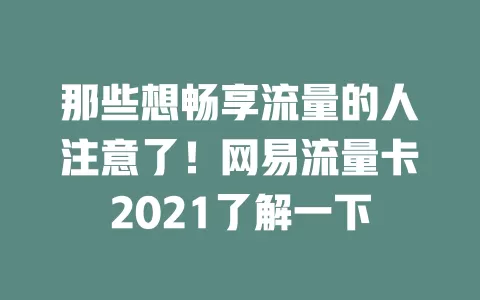 那些想畅享流量的人注意了！网易流量卡2021了解一下