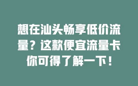 想在汕头畅享低价流量？这款便宜流量卡你可得了解一下！