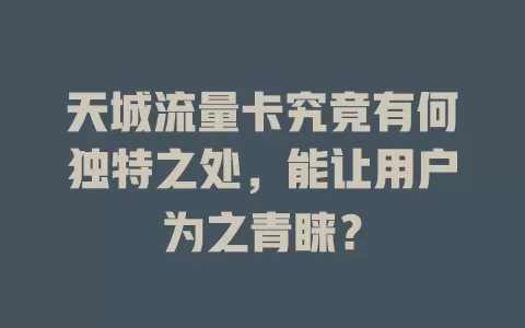 天城流量卡究竟有何独特之处，能让用户为之青睐？