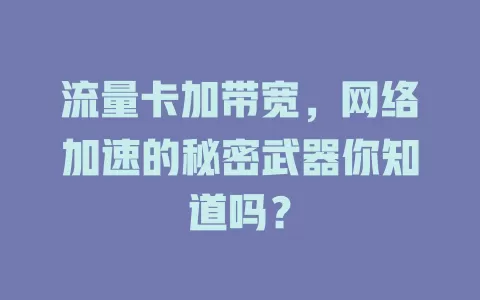 流量卡加带宽，网络加速的秘密武器你知道吗？