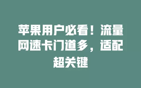 苹果用户必看！流量网速卡门道多，适配超关键