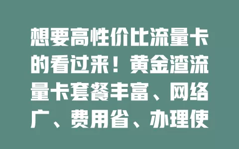 想要高性价比流量卡的看过来！黄金渣流量卡套餐丰富、网络广、费用省、办理使用便捷，满足多样需求，让数字生活更顺畅