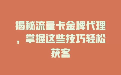 揭秘流量卡金牌代理，掌握这些技巧轻松获客