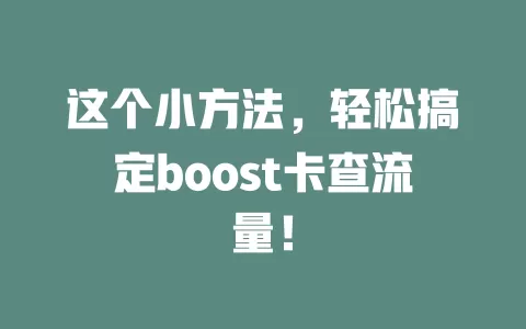 这个小方法，轻松搞定boost卡查流量！