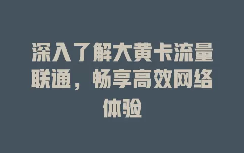 深入了解大黄卡流量联通，畅享高效网络体验