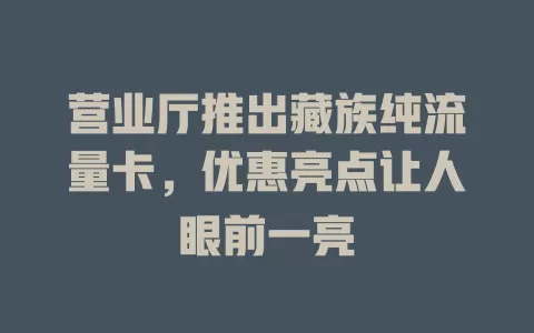 营业厅推出藏族纯流量卡，优惠亮点让人眼前一亮