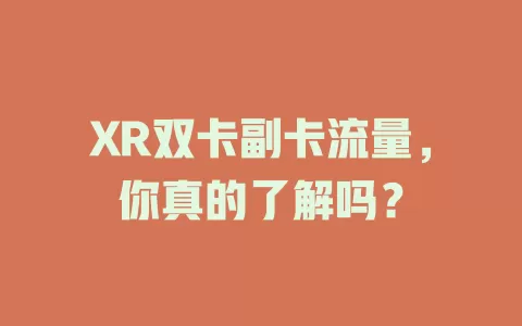 XR双卡副卡流量，你真的了解吗？