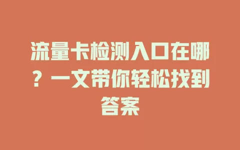 流量卡检测入口在哪？一文带你轻松找到答案