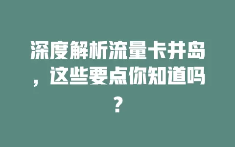 深度解析流量卡井岛，这些要点你知道吗？