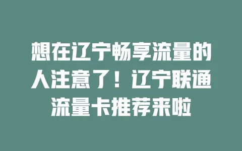 想在辽宁畅享流量的人注意了！辽宁联通流量卡推荐来啦