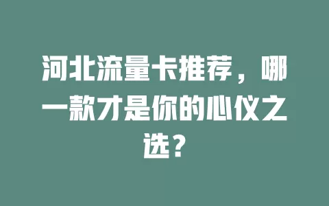 河北流量卡推荐，哪一款才是你的心仪之选？