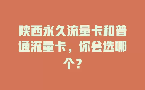 陕西永久流量卡和普通流量卡，你会选哪个？