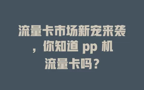 流量卡市场新宠来袭，你知道 pp 机流量卡吗？