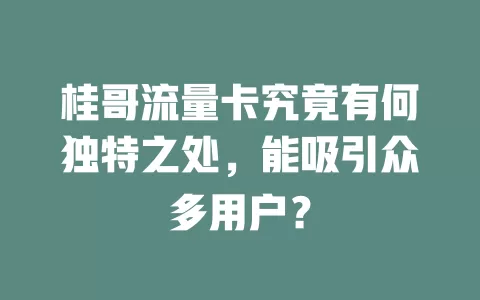 桂哥流量卡究竟有何独特之处，能吸引众多用户？