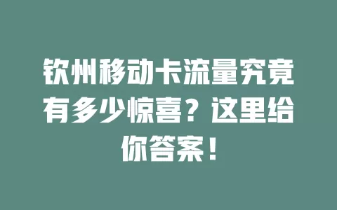 钦州移动卡流量究竟有多少惊喜？这里给你答案！