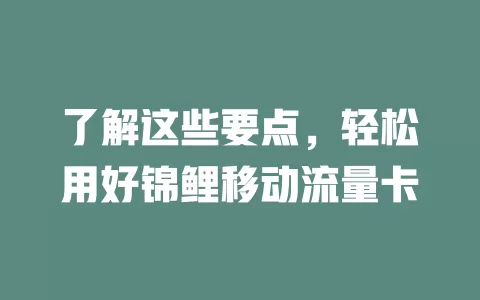 了解这些要点，轻松用好锦鲤移动流量卡