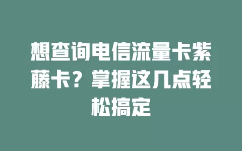 想查询电信流量卡紫藤卡？掌握这几点轻松搞定