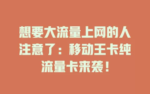 想要大流量上网的人注意了：移动王卡纯流量卡来袭！