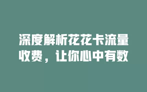 深度解析花花卡流量收费，让你心中有数