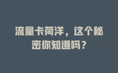 流量卡荷洋，这个秘密你知道吗？