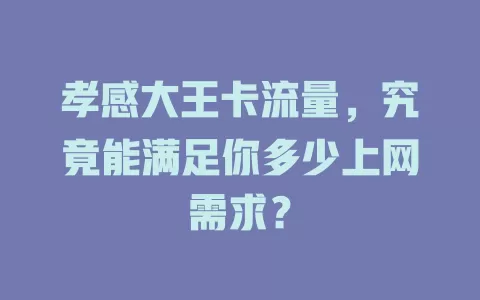 孝感大王卡流量，究竟能满足你多少上网需求？