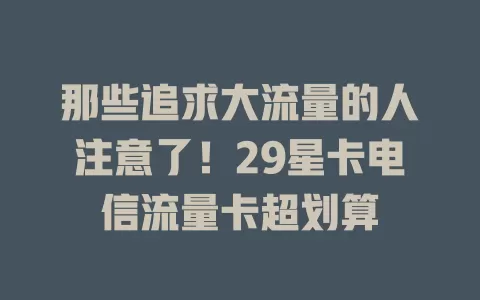 那些追求大流量的人注意了！29星卡电信流量卡超划算