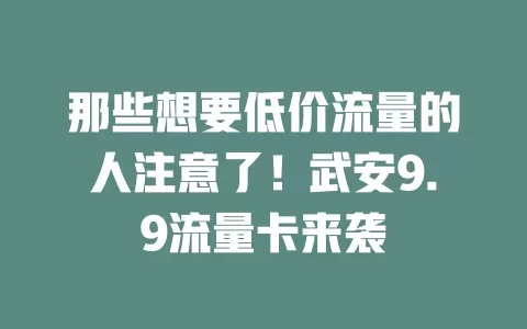 那些想要低价流量的人注意了！武安9.9流量卡来袭