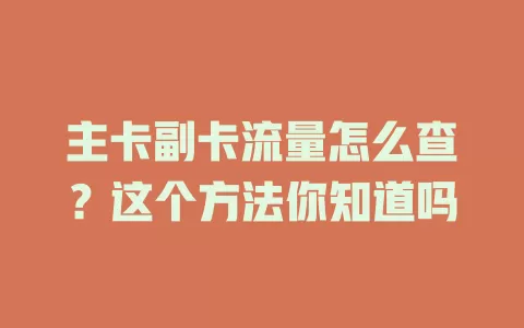 主卡副卡流量怎么查？这个方法你知道吗