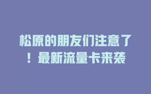 松原的朋友们注意了！最新流量卡来袭