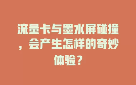 流量卡与墨水屏碰撞，会产生怎样的奇妙体验？