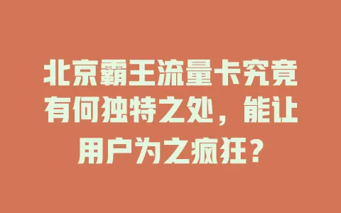 北京霸王流量卡究竟有何独特之处，能让用户为之疯狂？