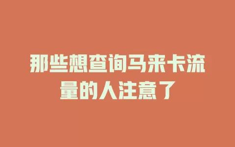 那些想查询马来卡流量的人注意了