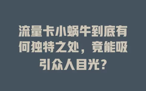 流量卡小蜗牛到底有何独特之处，竟能吸引众人目光？