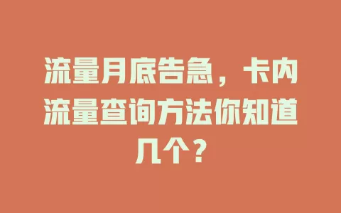 流量月底告急，卡内流量查询方法你知道几个？